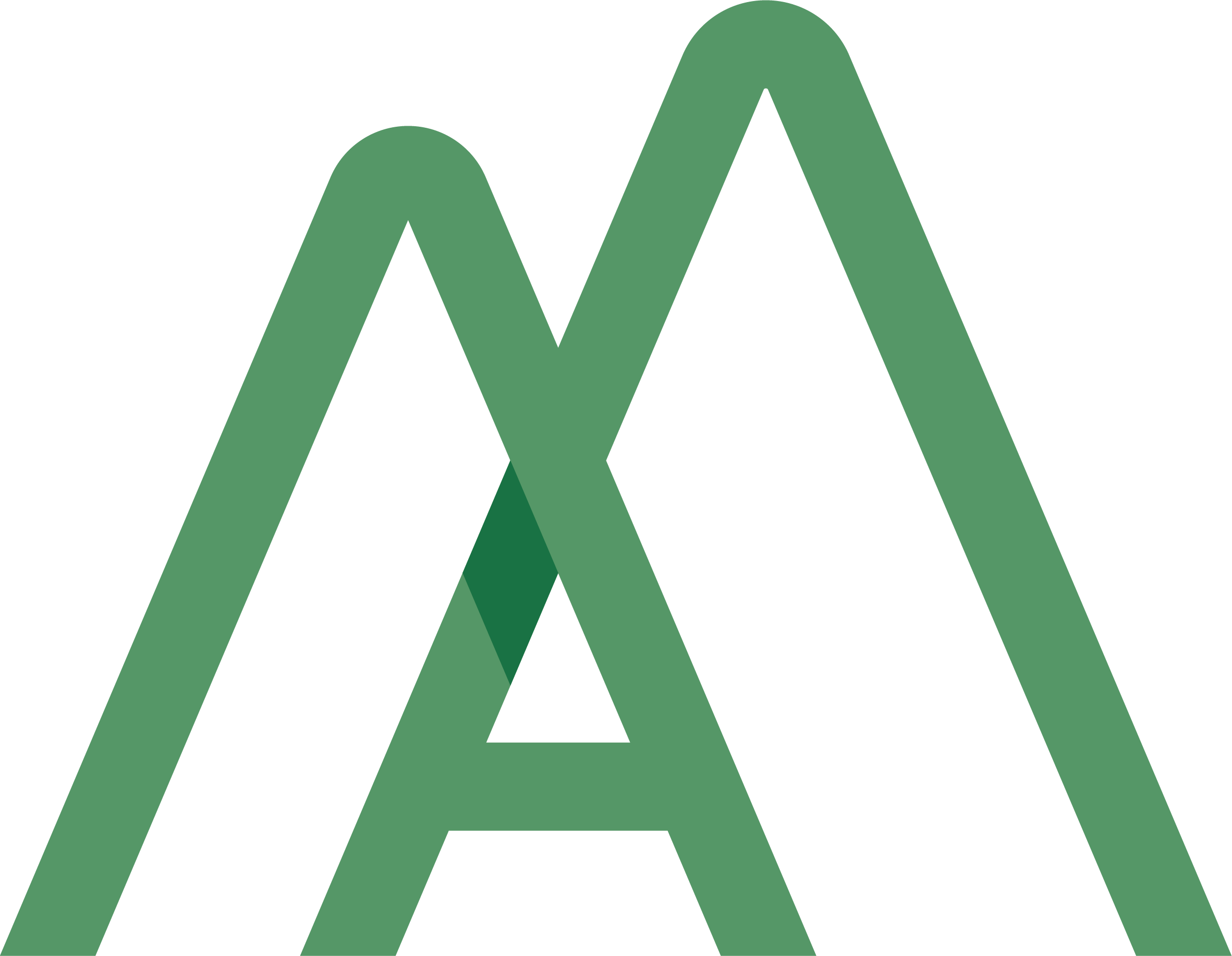 Logo AmAmbiente S.p.A.